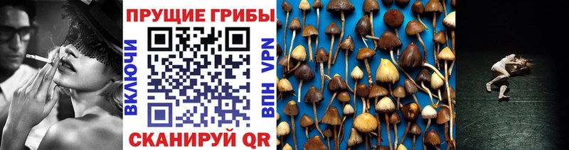Псилоцибиновые грибы Cubensis  где найти   Макарьев 